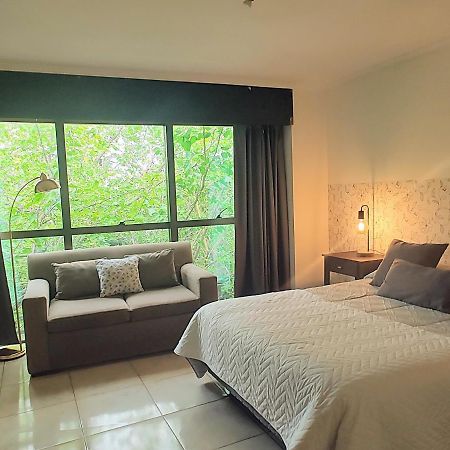 Terrazas De Colon 11 Apartment Мендоса Екстериор снимка