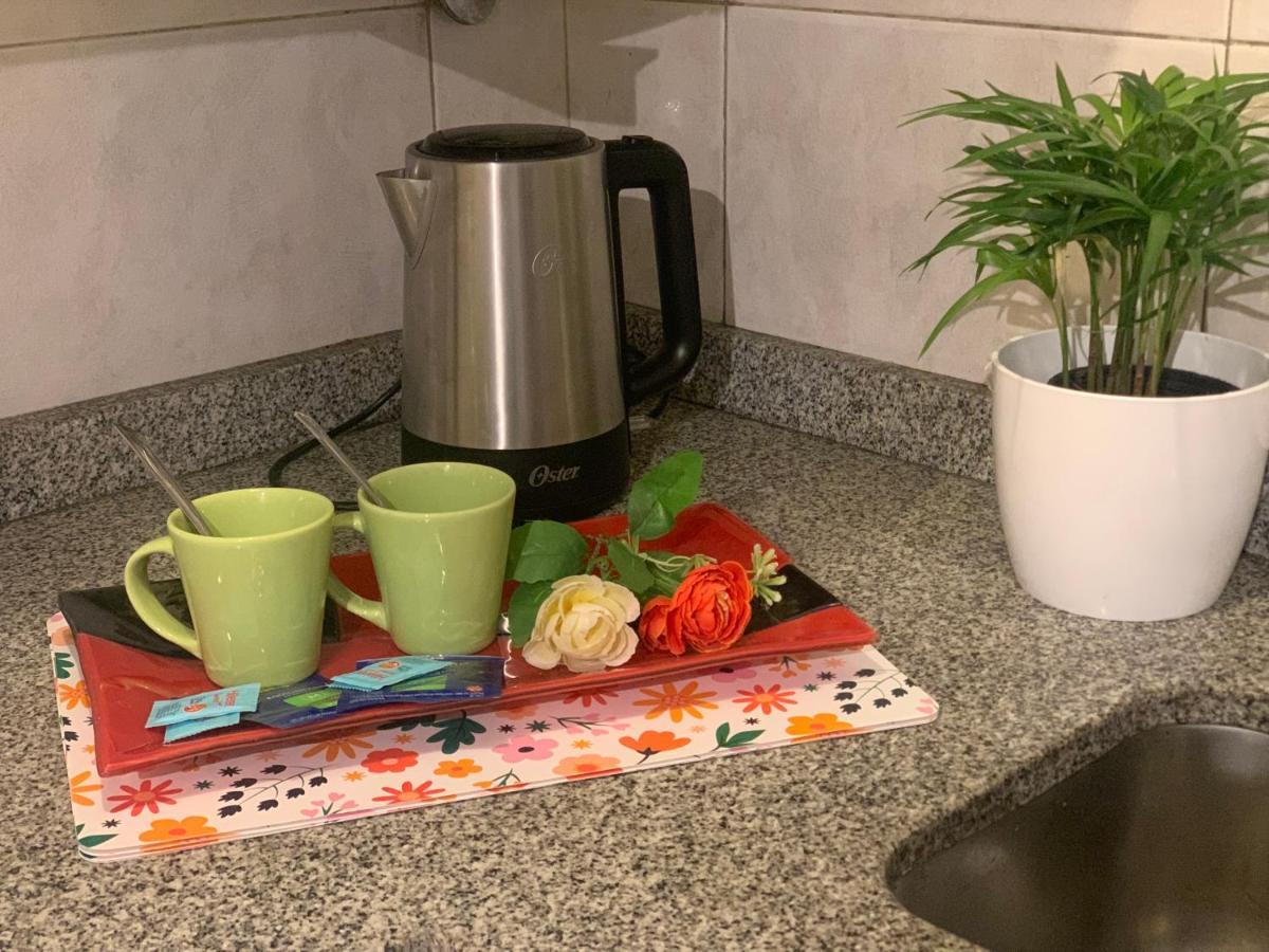 Terrazas De Colon 11 Apartment Мендоса Екстериор снимка